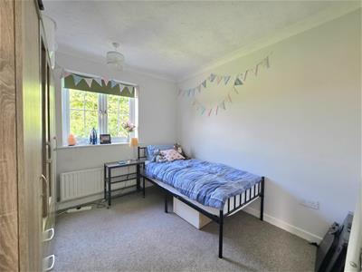 Picture 20